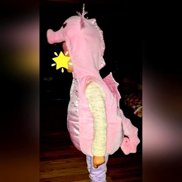 Infant seahorse costume - Picture 4 of 4